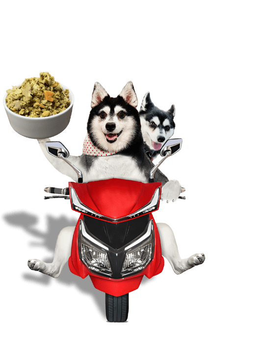 Wolfie & Arie Delivering Dog Food