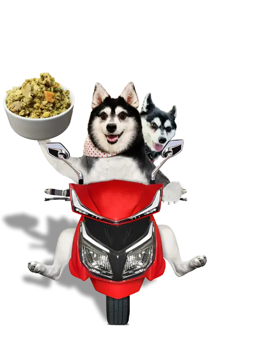 Wolfie & Arie Delivering